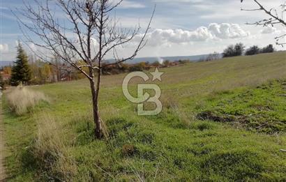 DOMANİÇ ÇAMLICA'DA ASFALT YOLLU ELEKTRİKLİ İMARLI SATILIK PARSEL