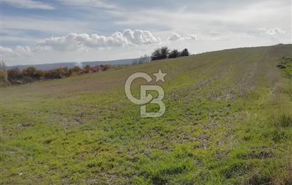 DOMANİÇ ÇAMLICA'DA ASFALT YOLLU ELEKTRİKLİ İMARLI SATILIK PARSEL