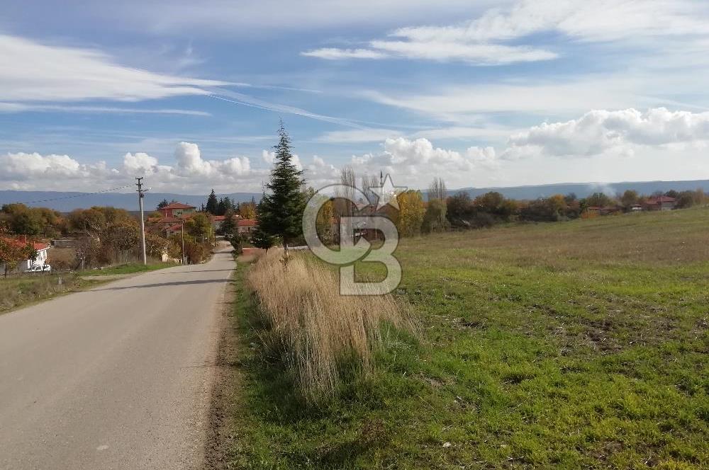 DOMANİÇ ÇAMLICA'DA ASFALT YOLLU ELEKTRİKLİ İMARLI SATILIK PARSEL