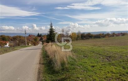 DOMANİÇ ÇAMLICA'DA ASFALT YOLLU ELEKTRİKLİ İMARLI SATILIK PARSEL