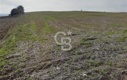 DOMANİÇ ÇAMLICA'DA ASFALT YOLLU ELEKTRİKLİ İMARLI SATILIK PARSEL