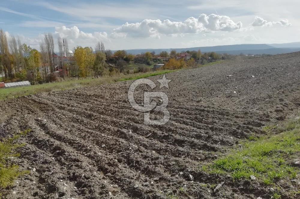 DOMANİÇ ÇAMLICA'DA ASFALT YOLLU ELEKTRİKLİ İMARLI SATILIK PARSEL