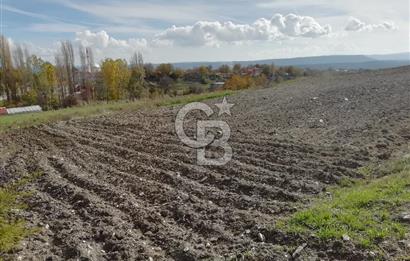 DOMANİÇ ÇAMLICA'DA ASFALT YOLLU ELEKTRİKLİ İMARLI SATILIK PARSEL