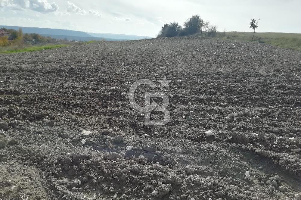 DOMANİÇ ÇAMLICA'DA ASFALT YOLLU ELEKTRİKLİ İMARLI SATILIK PARSEL