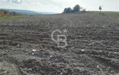 DOMANİÇ ÇAMLICA'DA ASFALT YOLLU ELEKTRİKLİ İMARLI SATILIK PARSEL