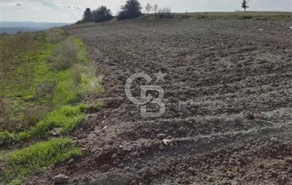 DOMANİÇ ÇAMLICA'DA ASFALT YOLLU ELEKTRİKLİ İMARLI SATILIK PARSEL