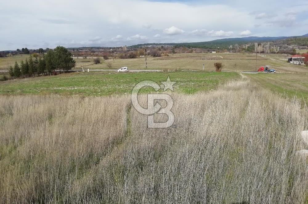 DOMANİÇ ÇAMLICA'DA ASFALT YOLLU ELEKTRİKLİ İMARLI SATILIK PARSEL