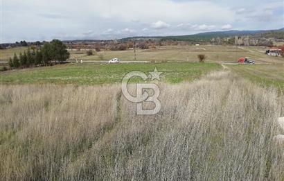 DOMANİÇ ÇAMLICA'DA ASFALT YOLLU ELEKTRİKLİ İMARLI SATILIK PARSEL