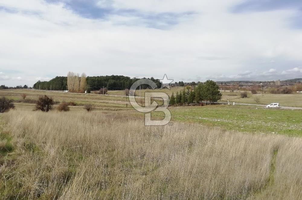 DOMANİÇ ÇAMLICA'DA ASFALT YOLLU ELEKTRİKLİ İMARLI SATILIK PARSEL