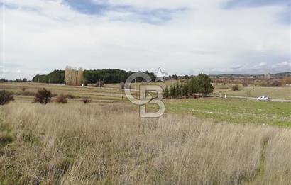 DOMANİÇ ÇAMLICA'DA ASFALT YOLLU ELEKTRİKLİ İMARLI SATILIK PARSEL