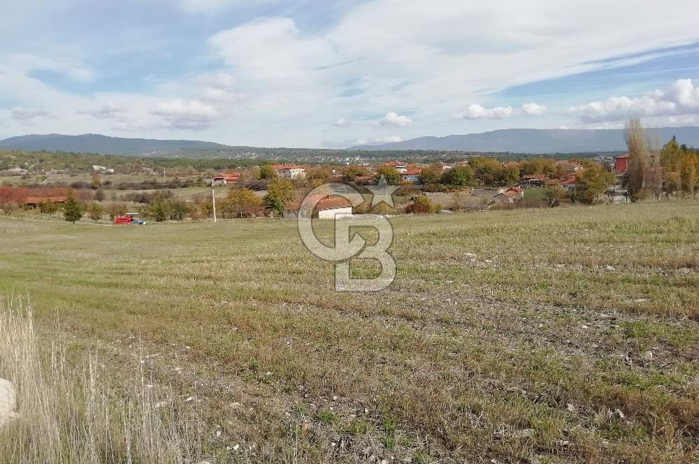 DOMANİÇ ÇAMLICA'DA ASFALT YOLLU ELEKTRİKLİ İMARLI SATILIK PARSEL