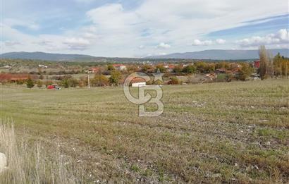 DOMANİÇ ÇAMLICA'DA ASFALT YOLLU ELEKTRİKLİ İMARLI SATILIK PARSEL