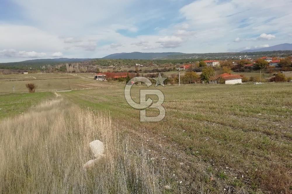 DOMANİÇ ÇAMLICA'DA ASFALT YOLLU ELEKTRİKLİ İMARLI SATILIK PARSEL