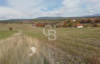 DOMANİÇ ÇAMLICA'DA ASFALT YOLLU ELEKTRİKLİ İMARLI SATILIK PARSEL