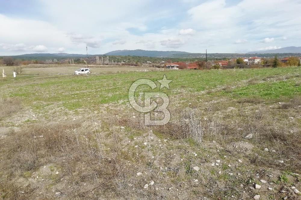 DOMANİÇ ÇAMLICA'DA ASFALT YOLLU ELEKTRİKLİ İMARLI SATILIK PARSEL