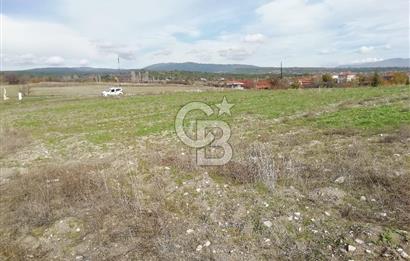 DOMANİÇ ÇAMLICA'DA ASFALT YOLLU ELEKTRİKLİ İMARLI SATILIK PARSEL