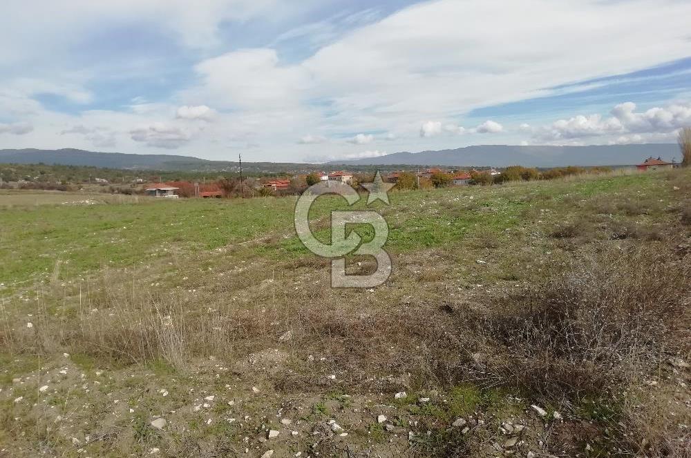 DOMANİÇ ÇAMLICA'DA ASFALT YOLLU ELEKTRİKLİ İMARLI SATILIK PARSEL