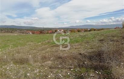 DOMANİÇ ÇAMLICA'DA ASFALT YOLLU ELEKTRİKLİ İMARLI SATILIK PARSEL