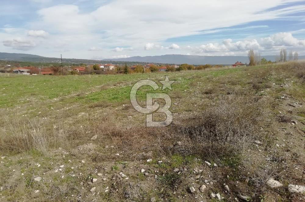 DOMANİÇ ÇAMLICA'DA ASFALT YOLLU ELEKTRİKLİ İMARLI SATILIK PARSEL