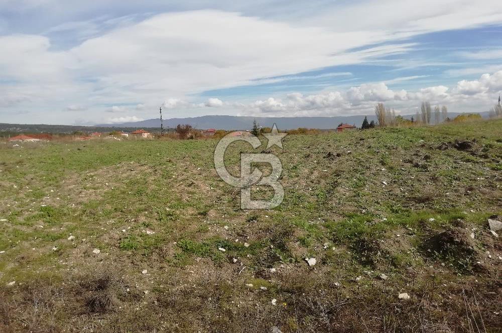 DOMANİÇ ÇAMLICA'DA ASFALT YOLLU ELEKTRİKLİ İMARLI SATILIK PARSEL