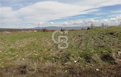 DOMANİÇ ÇAMLICA'DA ASFALT YOLLU ELEKTRİKLİ İMARLI SATILIK PARSEL