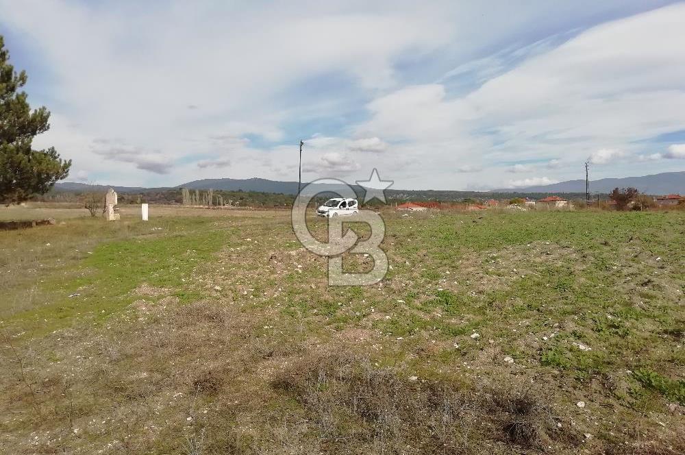 DOMANİÇ ÇAMLICA'DA ASFALT YOLLU ELEKTRİKLİ İMARLI SATILIK PARSEL