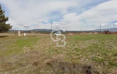 DOMANİÇ ÇAMLICA'DA ASFALT YOLLU ELEKTRİKLİ İMARLI SATILIK PARSEL