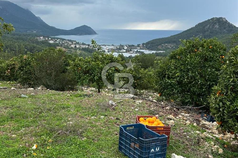 ANTALYA KUMLUCA YENİCE .K TİCARİ İMARLI SATLIK ARSA