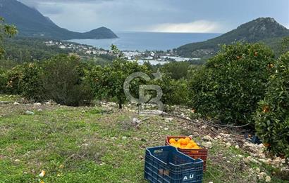 ANTALYA KUMLUCA YENİCE .K TİCARİ İMARLI SATLIK ARSA