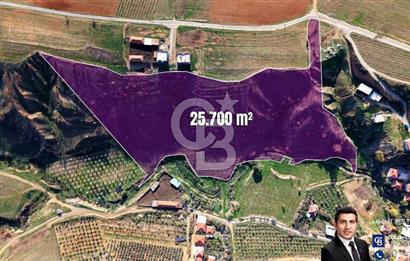 Turgutlu OSB Sınırında 25.700m² Yatırımlık Tarla