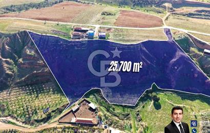 Turgutlu OSB Sınırında 25.700m² Yatırımlık Tarla