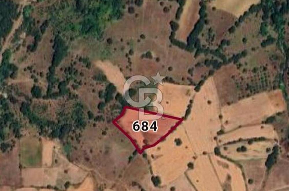 ÇANAKKALE ÇAN KOCAYAYLA KÖYÜNDE 8400 M2 YATIRIMLIK TARLA