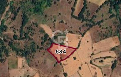 ÇANAKKALE ÇAN KOCAYAYLA KÖYÜNDE 8400 M2 YATIRIMLIK TARLA