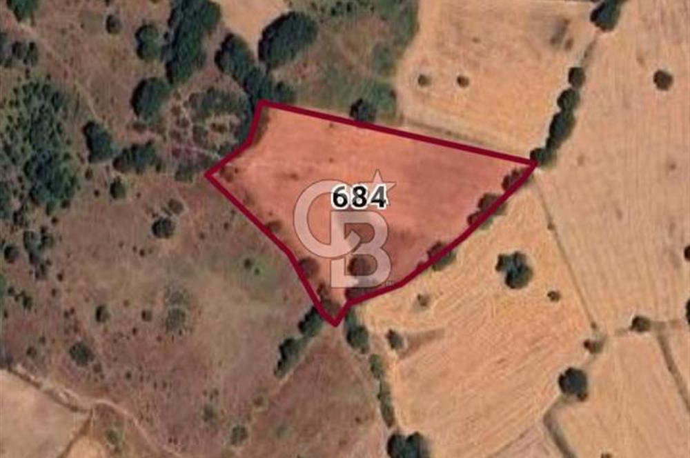 ÇANAKKALE ÇAN KOCAYAYLA KÖYÜNDE 8400 M2 YATIRIMLIK TARLA