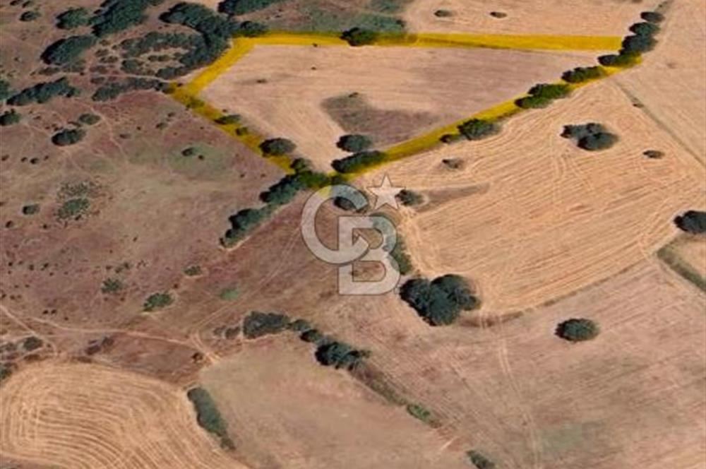 ÇANAKKALE ÇAN KOCAYAYLA KÖYÜNDE 8400 M2 YATIRIMLIK TARLA