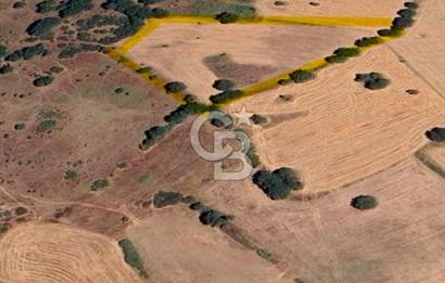 ÇANAKKALE ÇAN KOCAYAYLA KÖYÜNDE 8400 M2 YATIRIMLIK TARLA
