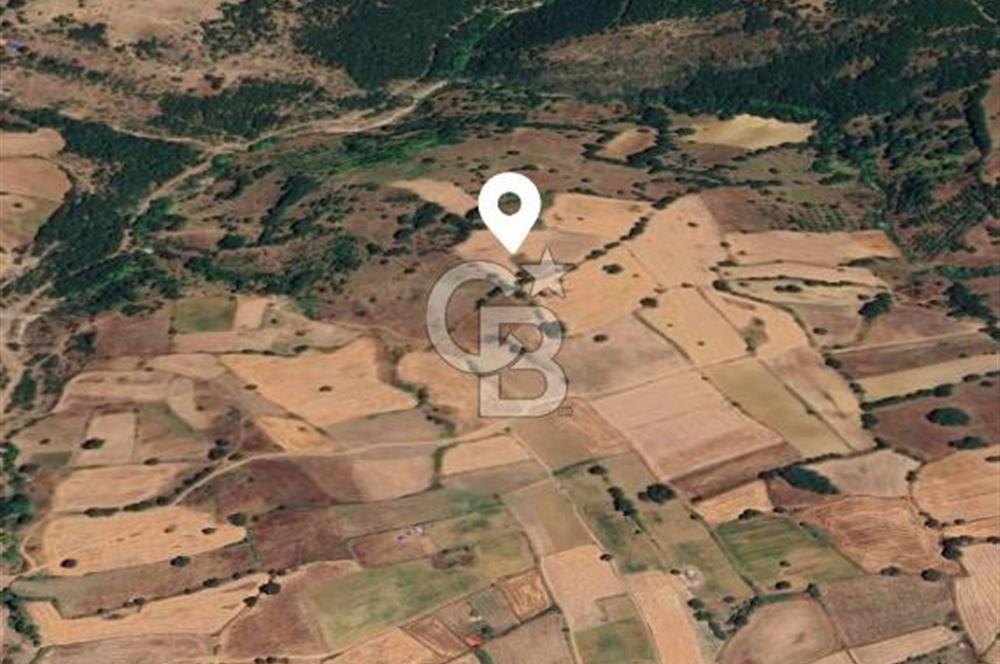 ÇANAKKALE ÇAN KOCAYAYLA KÖYÜNDE 8400 M2 YATIRIMLIK TARLA