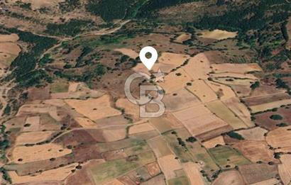 ÇANAKKALE ÇAN KOCAYAYLA KÖYÜNDE 8400 M2 YATIRIMLIK TARLA