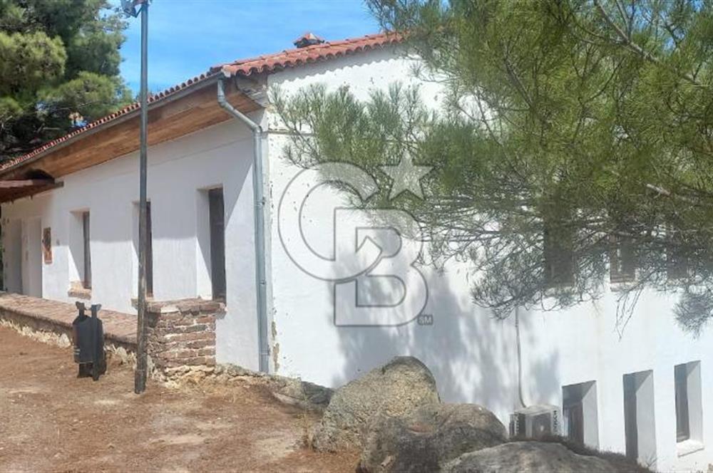 Seferihisar Eski Orhanlı Köyü Köyiçi İmarlı 451 m2 Satılık Fırsat Arsa