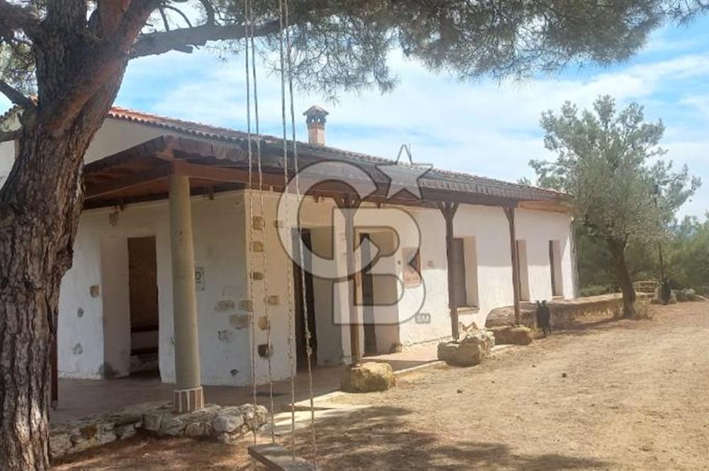 Seferihisar Eski Orhanlı Köyü Köyiçi İmarlı 451 m2 Satılık Fırsat Arsa