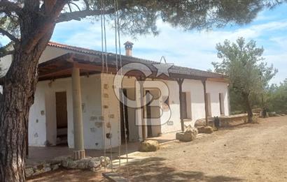 Seferihisar Eski Orhanlı Köyü Köyiçi İmarlı 451 m2 Satılık Fırsat Arsa