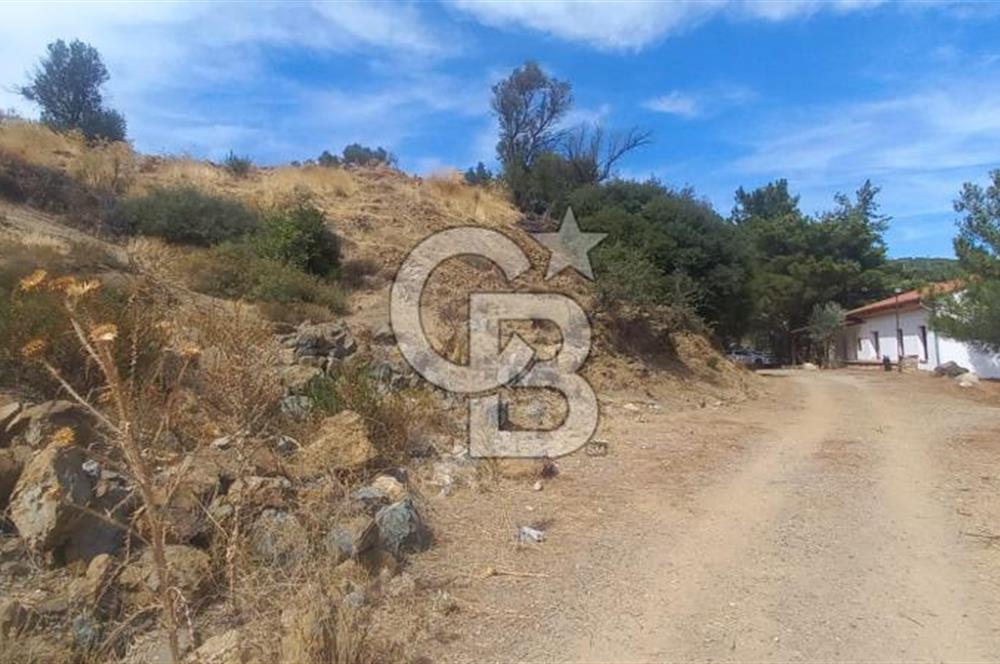 Seferihisar Eski Orhanlı Köyü Köyiçi İmarlı 451 m2 Satılık Fırsat Arsa