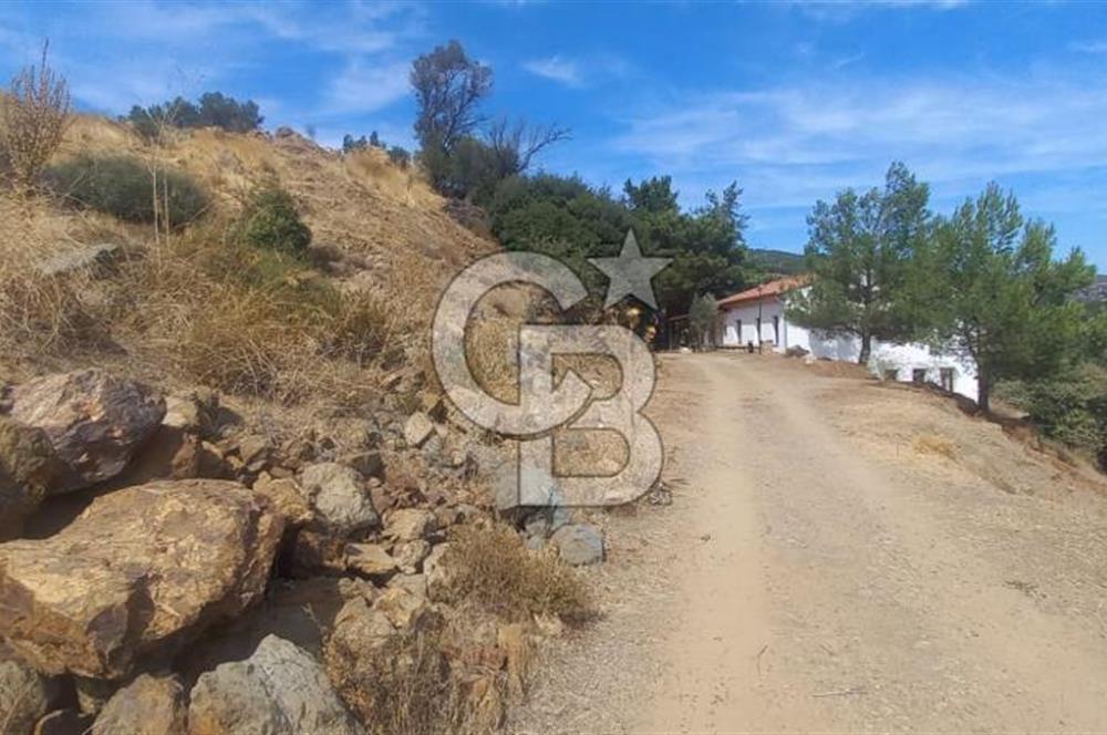 Seferihisar Eski Orhanlı Köyü Köyiçi İmarlı 451 m2 Satılık Fırsat Arsa