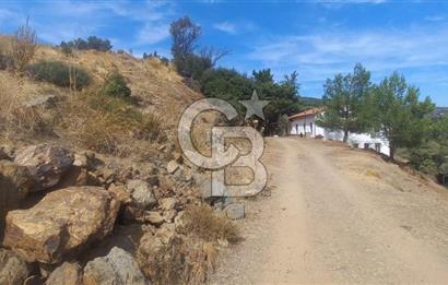 Seferihisar Eski Orhanlı Köyü Köyiçi İmarlı 451 m2 Satılık Fırsat Arsa