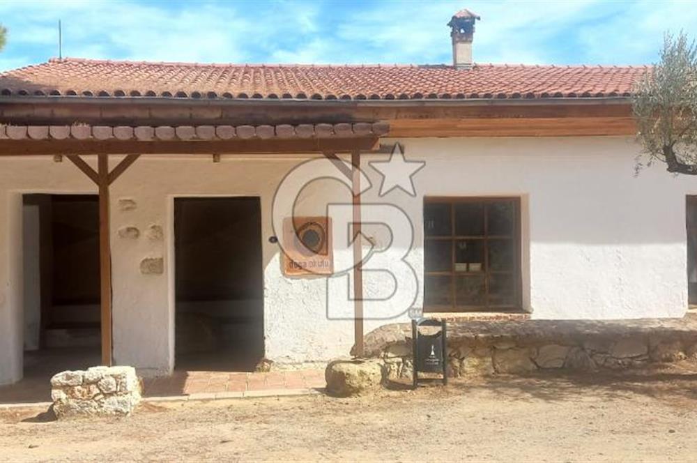 Seferihisar Eski Orhanlı Köyü Köyiçi İmarlı 451 m2 Satılık Fırsat Arsa