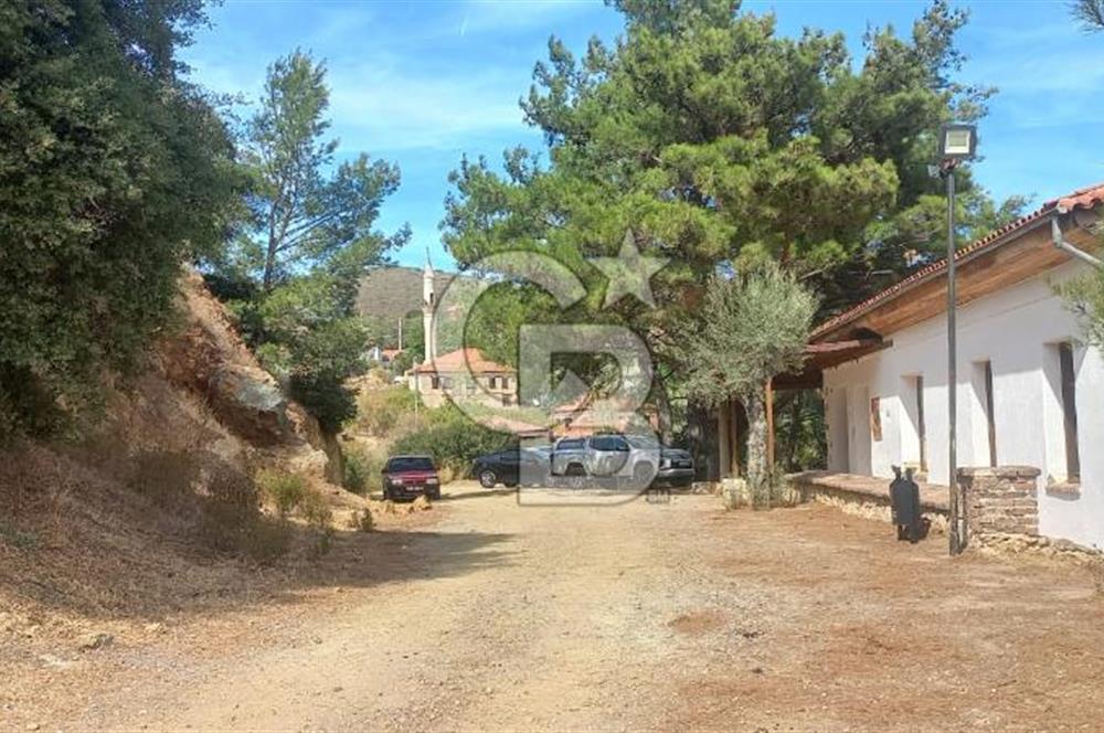 Seferihisar Eski Orhanlı Köyü Köyiçi İmarlı 451 m2 Satılık Fırsat Arsa