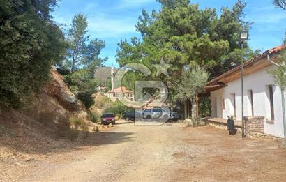 Seferihisar Eski Orhanlı Köyü Köyiçi İmarlı 451 m2 Satılık Fırsat Arsa