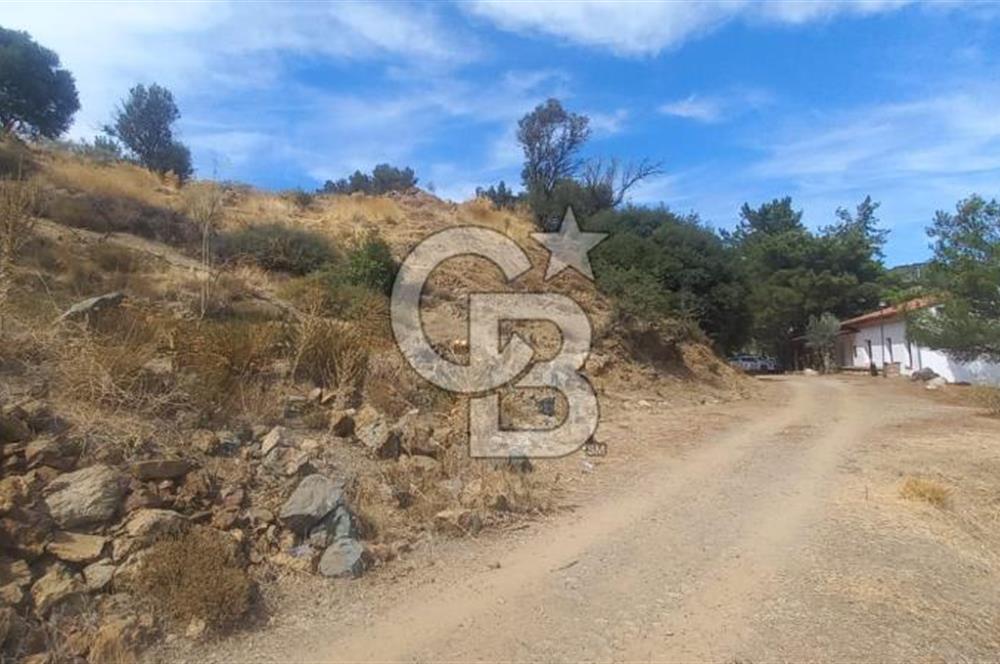 Seferihisar Eski Orhanlı Köyü Köyiçi İmarlı 451 m2 Satılık Fırsat Arsa