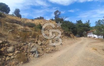 Seferihisar Eski Orhanlı Köyü Köyiçi İmarlı 451 m2 Satılık Fırsat Arsa