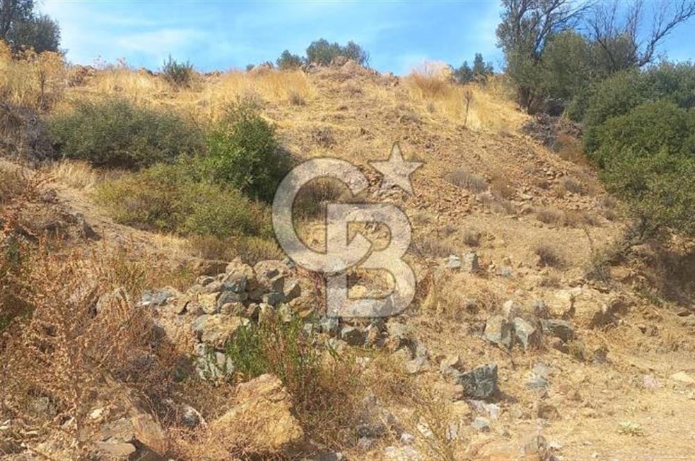 Seferihisar Eski Orhanlı Köyü Köyiçi İmarlı 451 m2 Satılık Fırsat Arsa